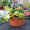 Cartoon Frog Hanging Flower Pot Resin Crafts Climbing Frog Figurines  Plant Pot