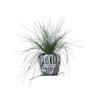 WELCOMETOCC POU POU POT SILVER Medium