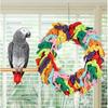 Parrot Swing for Large Birds - Colorful Cotton Rope Hanging Ring Toy for n Grey, Cockatoo, Conure, and Parakeet | Chewing, Exercise, Climbing, and