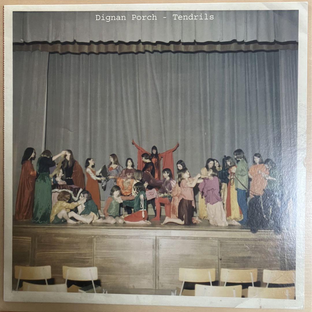 

[USED] Reduced price Dignan Porch Tendrils vinyl LP