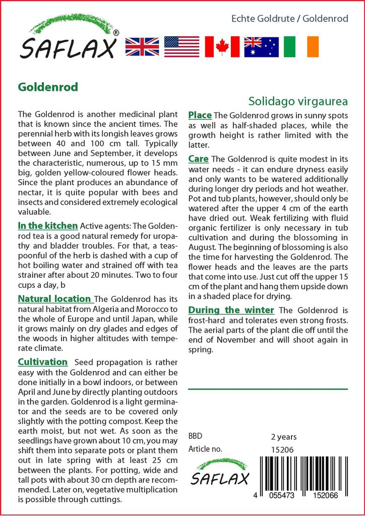 SAFLAX Zahrada v pytli - Zlatobýl - 100 semen - Se substrátem v přiléhavém sáčku - Solidago virgaurea