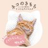 Feelings Nyanwari Steam Lazy Eye Mask 3 Masks Each for and Hot Eye Mask Cat's Assortment, (1 Tama, Kuro, Mike) "Kokoro Bakari"