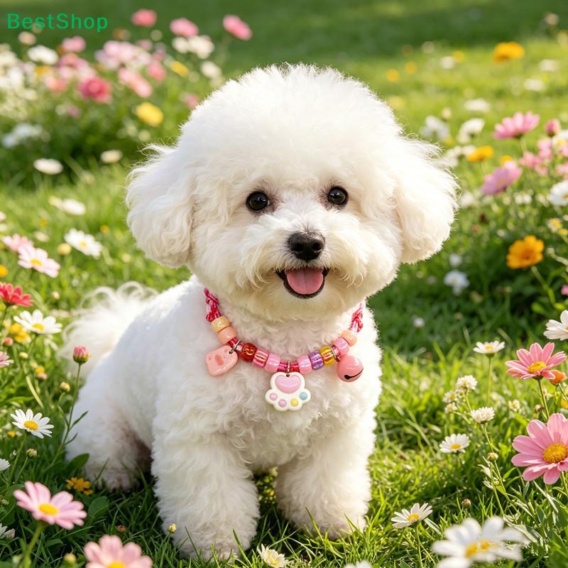 Cute Colorful Pet Necklace Braided Adjustable Cat Neck Chain With Bells Pet Jewelry Pet Costume Accessories