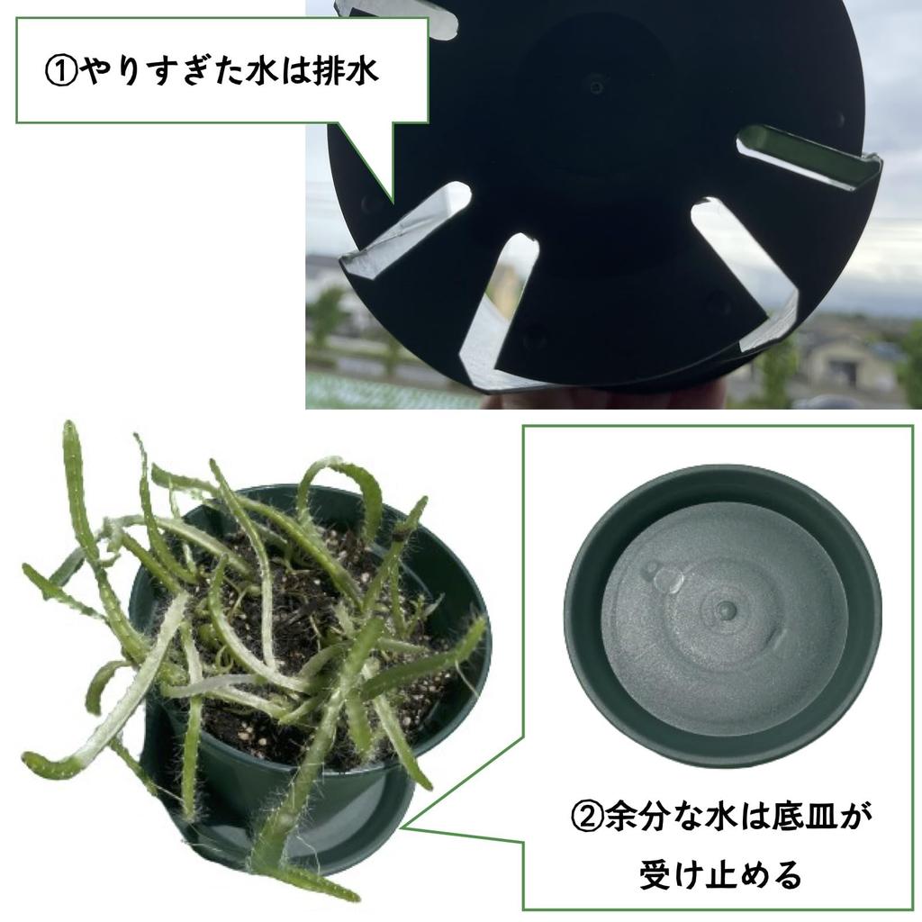 ASPALAND Slit Plastic Flower Prevents Root Comes with Bottom for Set of 5 Pots, Pots, Rot, Plate, Houseplants, Flowers, (Size 5)