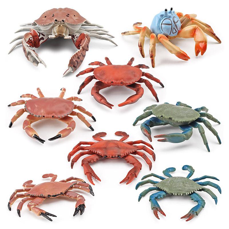 Realistic Plastic Crab Model Collection Vibrant Colors For Home Decor Educational Display