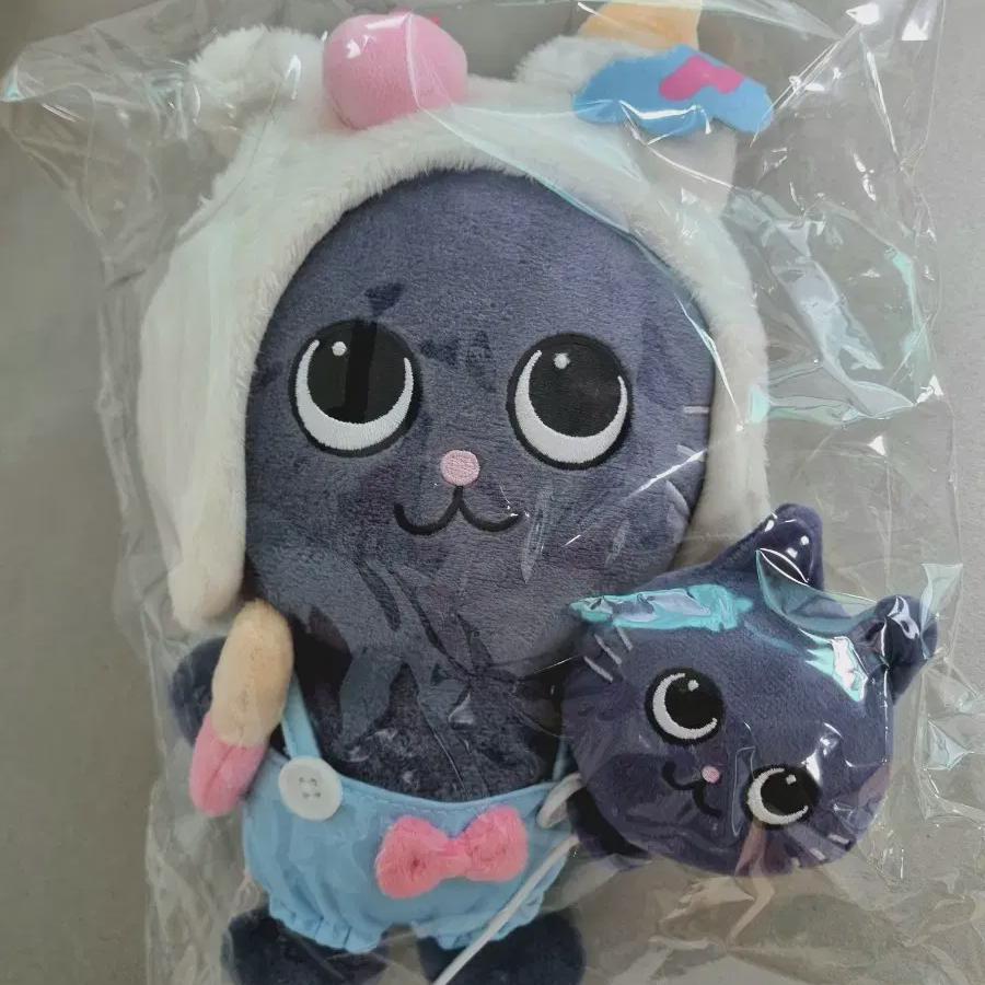 Sealed Tonyangdeok 20cm Wonbin Riize Park Riraz Md Doll
