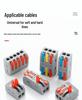 PCT Quick 2-in 2-out Waterproof Wiring Terminal 2-Position Plug-in Wire Connector