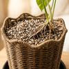 Woven Flower Pots For Home Decoration, Potted Plants