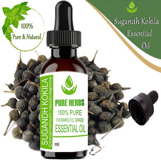 

Pure Herbs sugandh kokila (Cinnamomum Glaucescens) Pure & Natural Therapeutic Grade Essential Oil Plastic with Dropper 10 ml