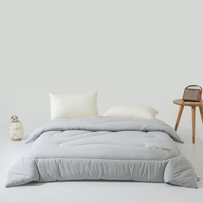 Muji Antibacterial Graphene Lyocell Duvet Insert