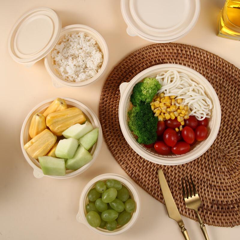 Shixun Disposable Lunch Box