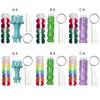 Professional Knit Spool Looms with Wool Set Cord Rope Knitting Weaving Tool with Colorful Wool 6-color/8-color Durable