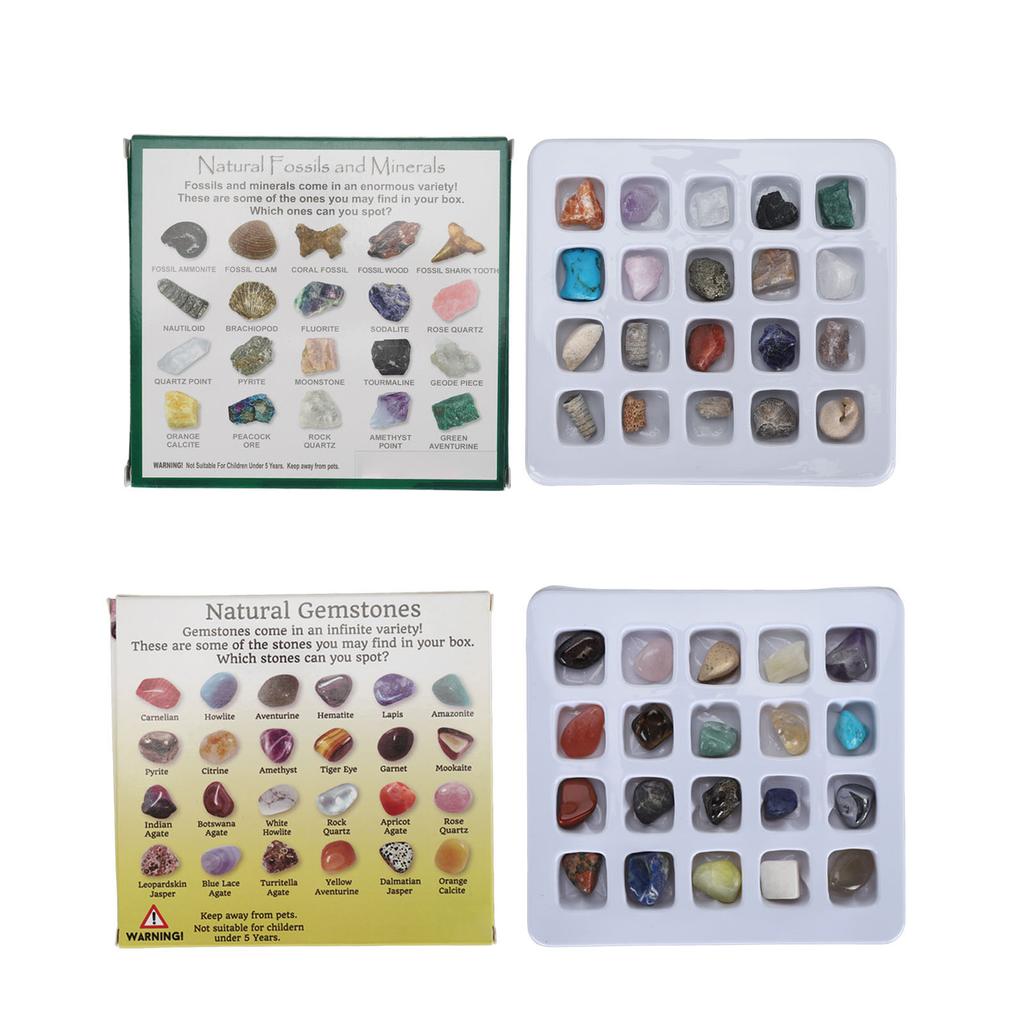 20pcs Rock Stone Colletction Kit for Boys Girls Exquisite Science Classroom Rocks and Minerals 