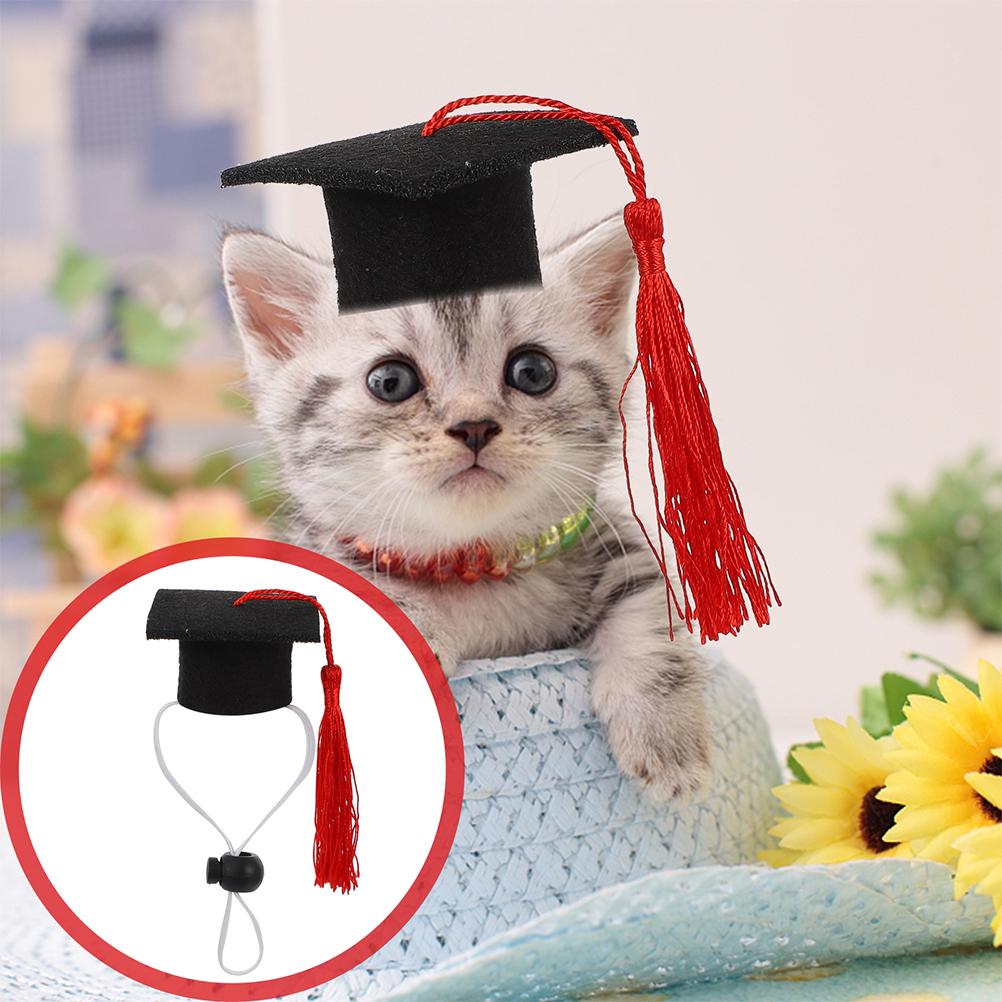 

2 Pcs Elastic Doctorial Hat Gift Creative Doctoral Caps Top Graduation Dog Dr Multi-purpose Felt Cloth Pet Supply Puppy Man красный