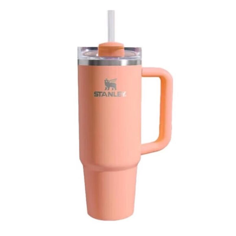 STANLEY Adventure Series H2.0 Stainless Steel Vacuum Straw Cup