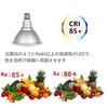 Esei "3-Year Warranty" LED Beam Bulb, Beam Lamp, 180W Equivalent, E26 Base, IP65 Waterproof, Long Life, Ultra Lightweight, PSE Certified, Warm White (