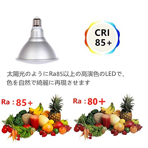 Esei "3-Year Warranty" LED Beam Bulb, Beam Lamp, 180W Equivalent, E26 Base, IP65 Waterproof, Long Life, Ultra Lightweight, PSE Certified, Warm White (