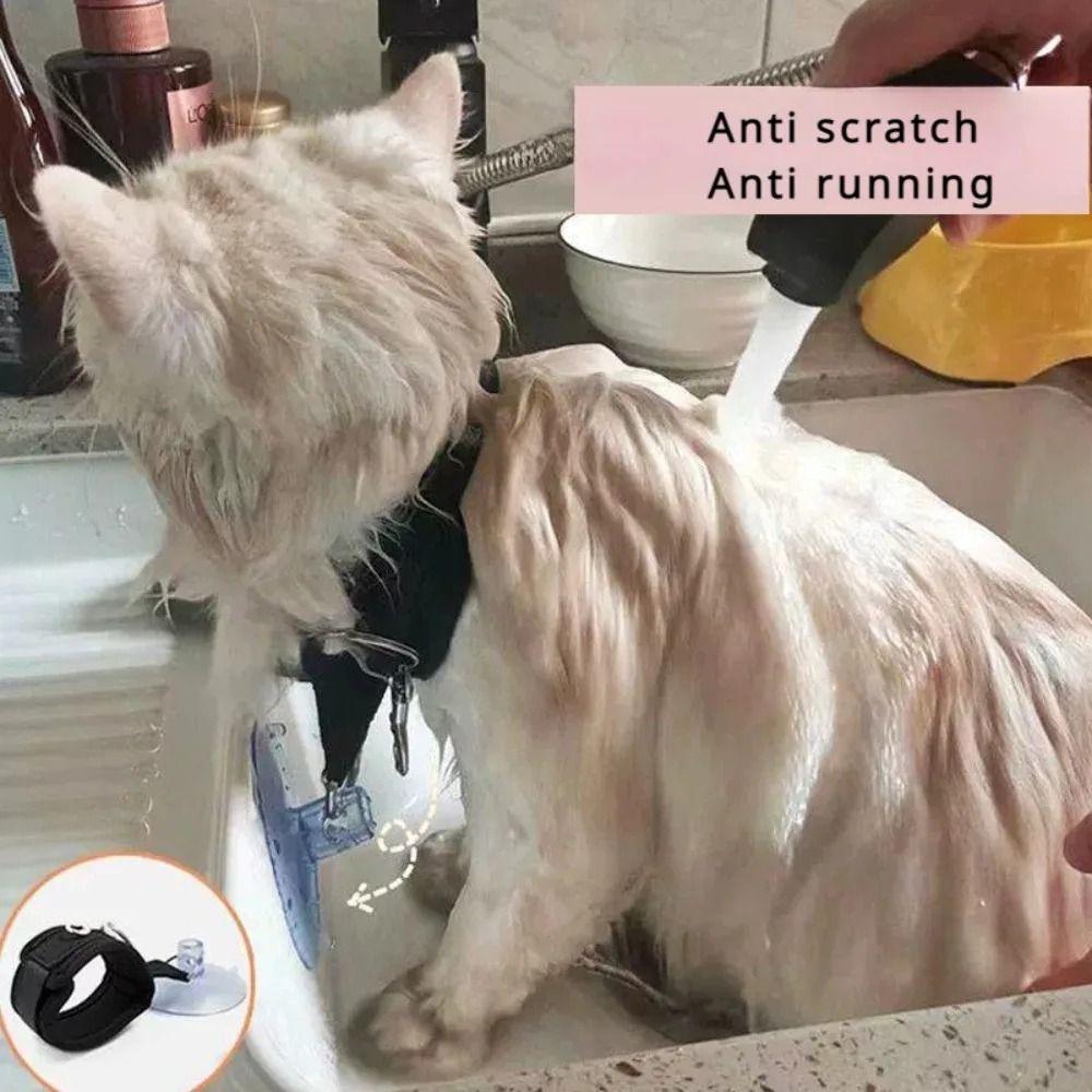 Suction Cup Pet Grooming Loops Portable Cat Grooming Collar Cat Restraint Straps  Dog Grooming