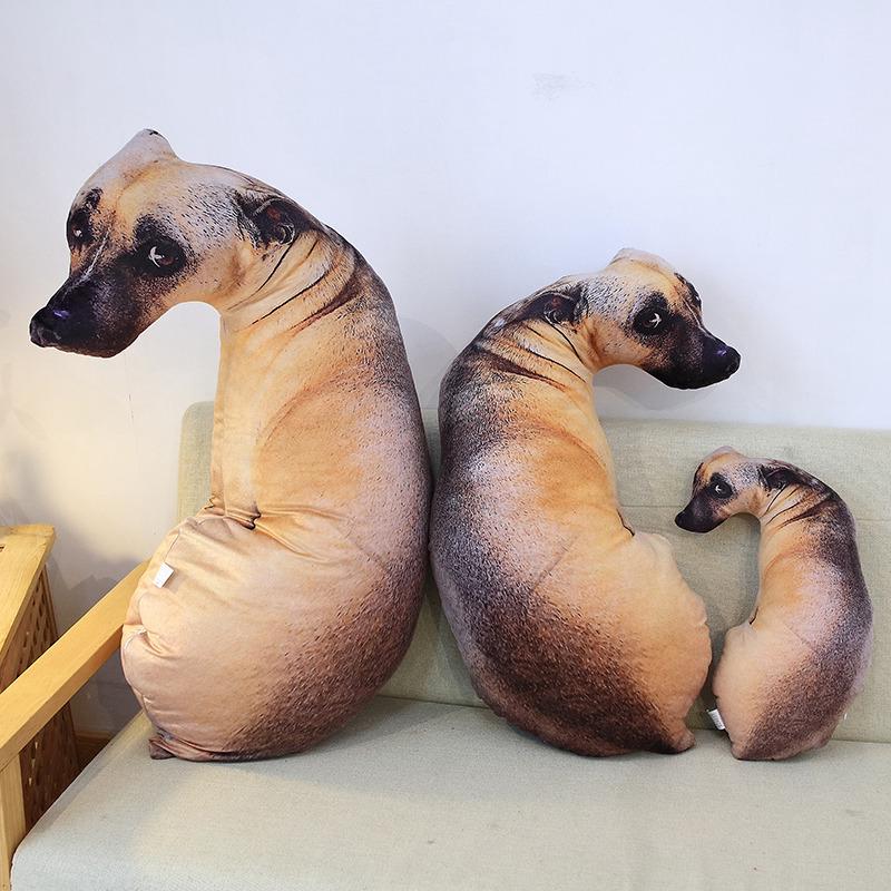 Cat & Dog Plush Toy - Corgi Chihuahua Cushion & Rag Doll