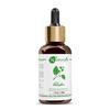 Naturalis Camphor Oil - Pure and Natural Steam Distilled Camphor Essential Oil for Skin, Hair and Aromatherapy - Camphor Mosquito Repellent - 30ml