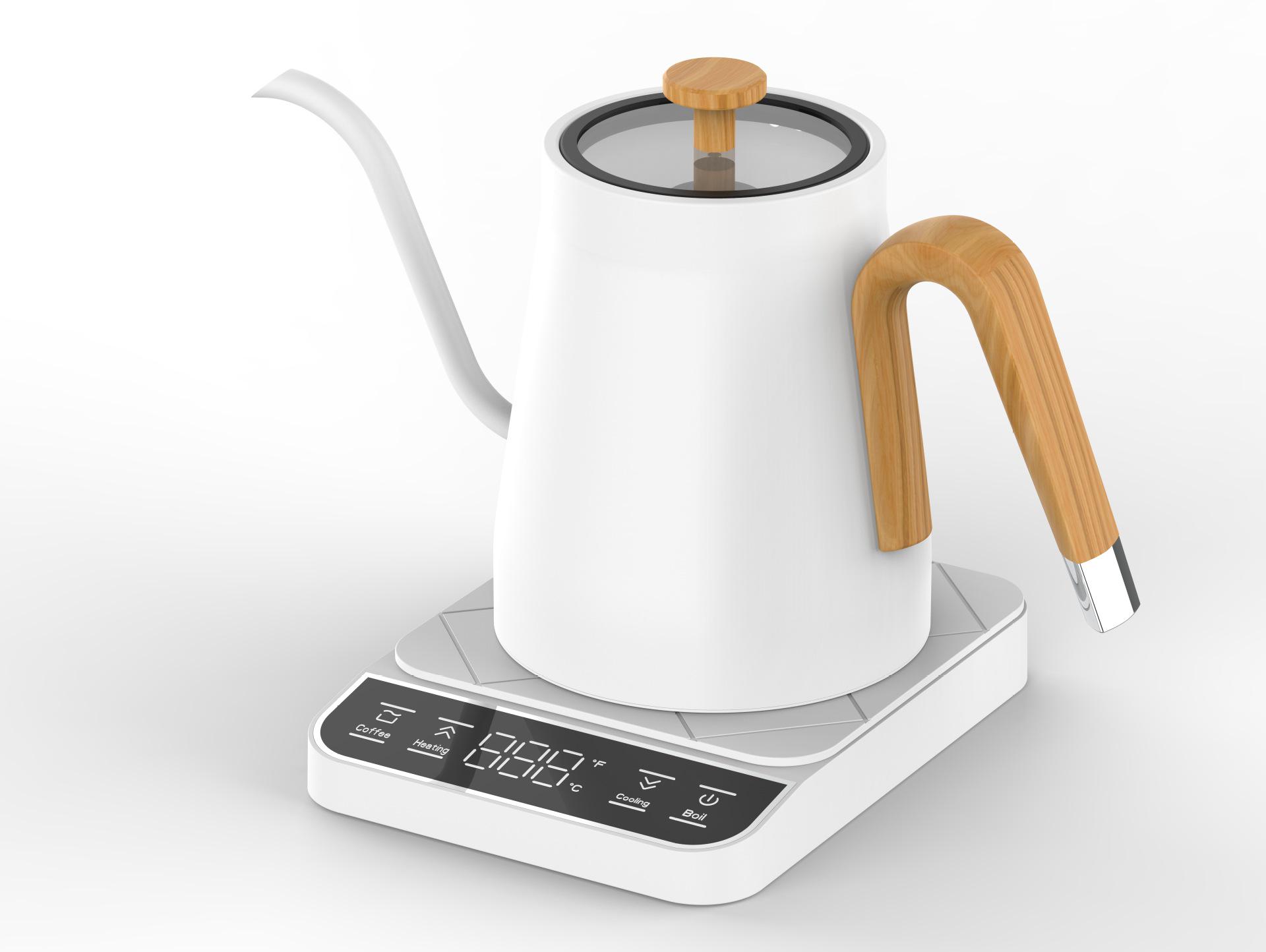 Stainless Steel Temperature-Controlled Gooseneck Pour-Over Coffee and Tea Kettle US Plug (Certified)
