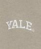 Yale Small Arch Zip-Up Hoodie Beige