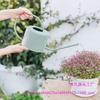 Leide Zhuzhu Wrought Iron Long Spout Watering Can for Flowers and Succulents
