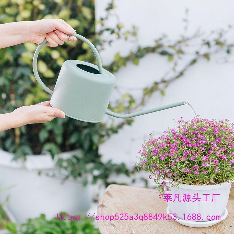 Leide Zhuzhu Wrought Iron Long Spout Watering Can for Flowers and Succulents