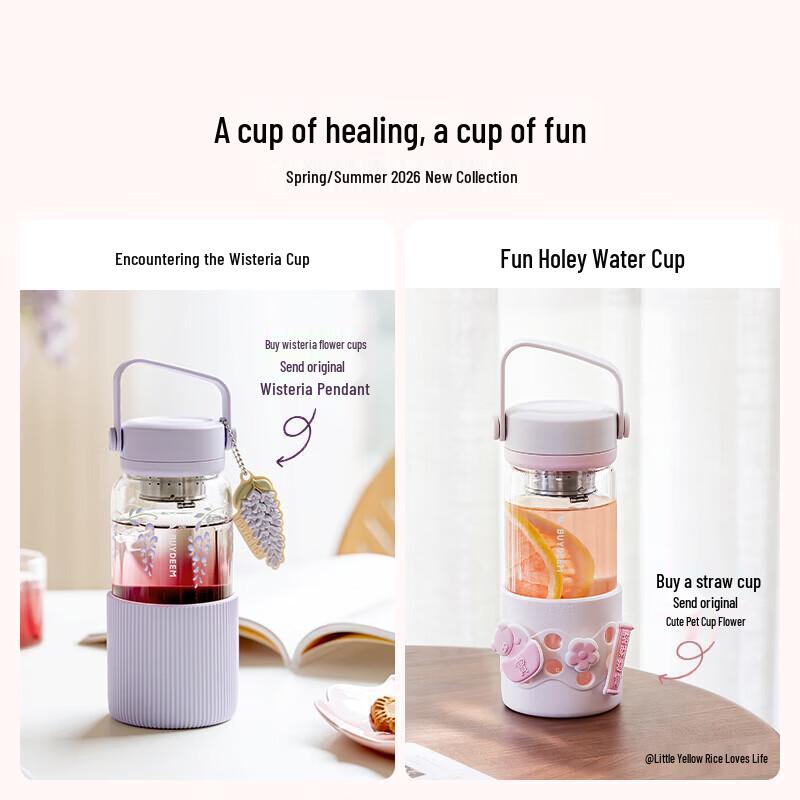 Buydeem High Borosilicate Glass Water Bottle with Tea Infuser