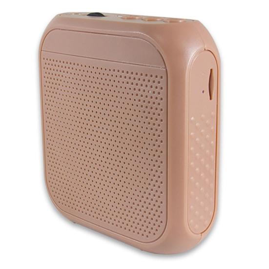 Portable Wired Microphone Voice Amplifier Audio Speaker Teaching Loudspeaker