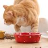 Anti Overturning Cat Ceramic Bowl Protect Pet's Spine Cat Food Bowl Puppy Feeder  Indoor