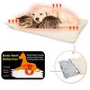 Self-heating pet pad, cat and dog bed mat, warm and removable for washing, beige color