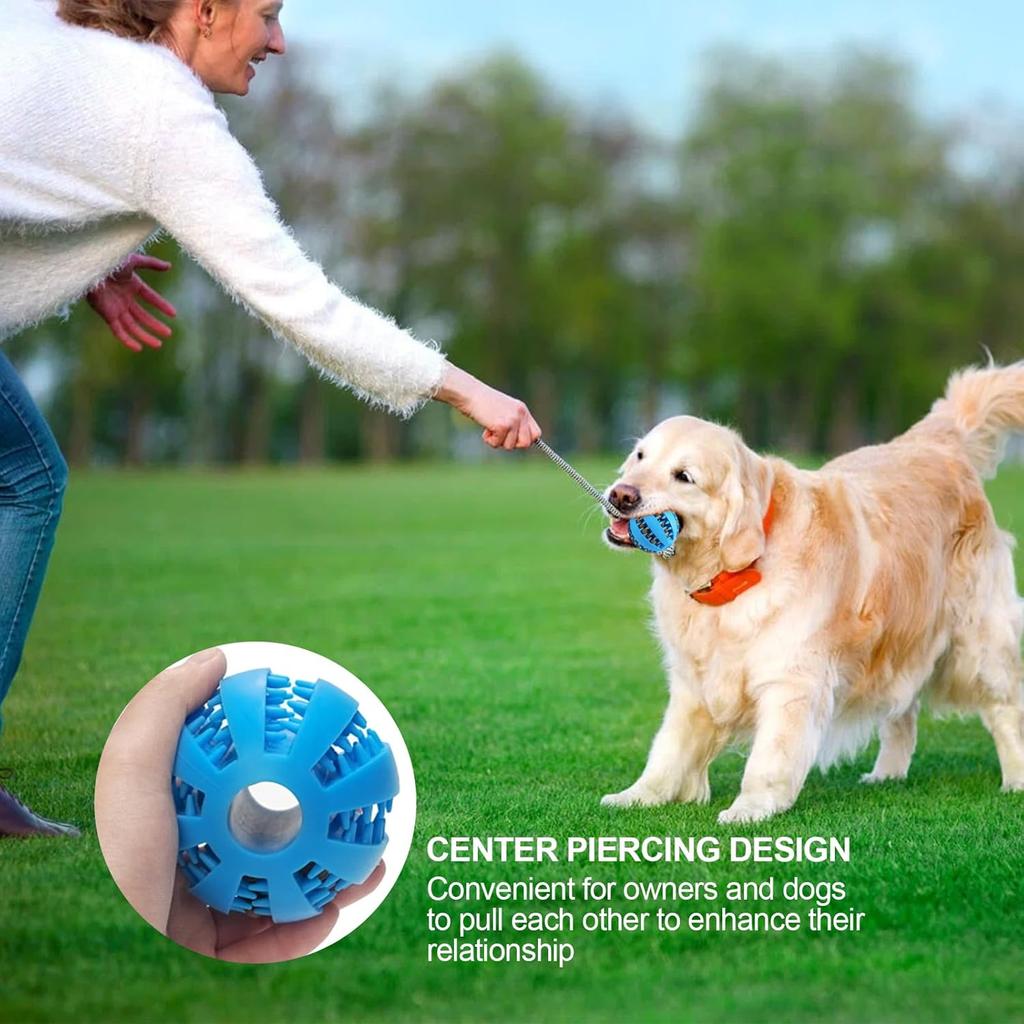 Hundefutterball Haustier Hundespielzeug Interaktive Gummibälle für Kleine Große Hunde Welpen Katze Kauspielzeug Haustier Zahnpflege Hundekauspielzeug