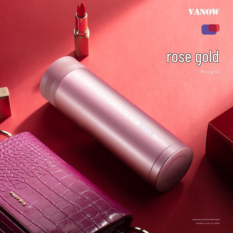 Vanow 500ml 316 Stainless Steel Insulated Tea Bottle