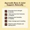 Baidyanath Ayurved Hadjod Herbal Tablets 250 Mg 60 Tabs X Pack Of 2 Natural Ayurvedic Wellness Daily Support Pro