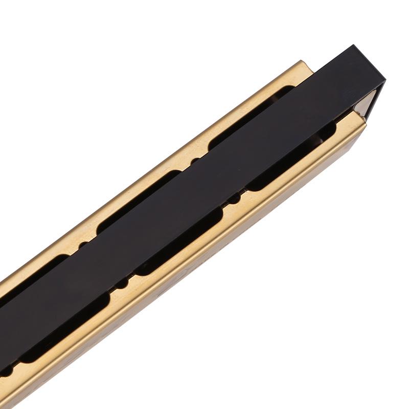 C Key 24-Hole Double Row Harmonica for Beginners and Students - Ideal for Children's Practice and Classroom Use.