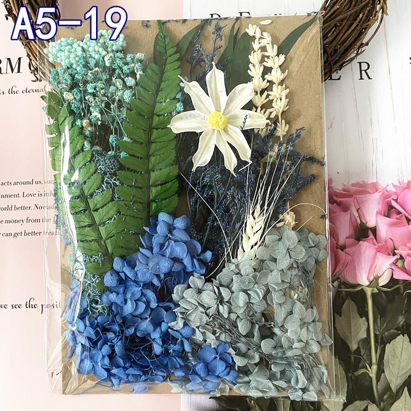 Exquisite Eternal Dry Flower Ancient Style Group Fan Material Pack for Children's Handmade Exclusive Decoration Dried Flowers