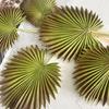 Artificial Leaf No-Maintenance Long-Lasting Freshness Realistic Fan-Shaped Leaves High-Simulation Texture Fake Tropical Leaves Home Decor