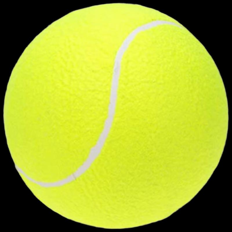 WEZHO 9.5-inch Large Pet Tennis Ball