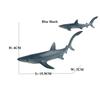 Endangered Marine Animals Figurines Killer Shark Orca Beluga Whale Dolphin Seal Model Action Figure Toy Conservation Awareness