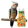 Vögel – Vogelbekleidung