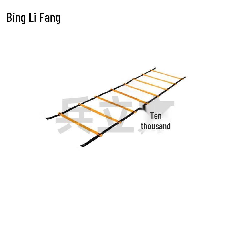 Fitness Agility Training Ladder