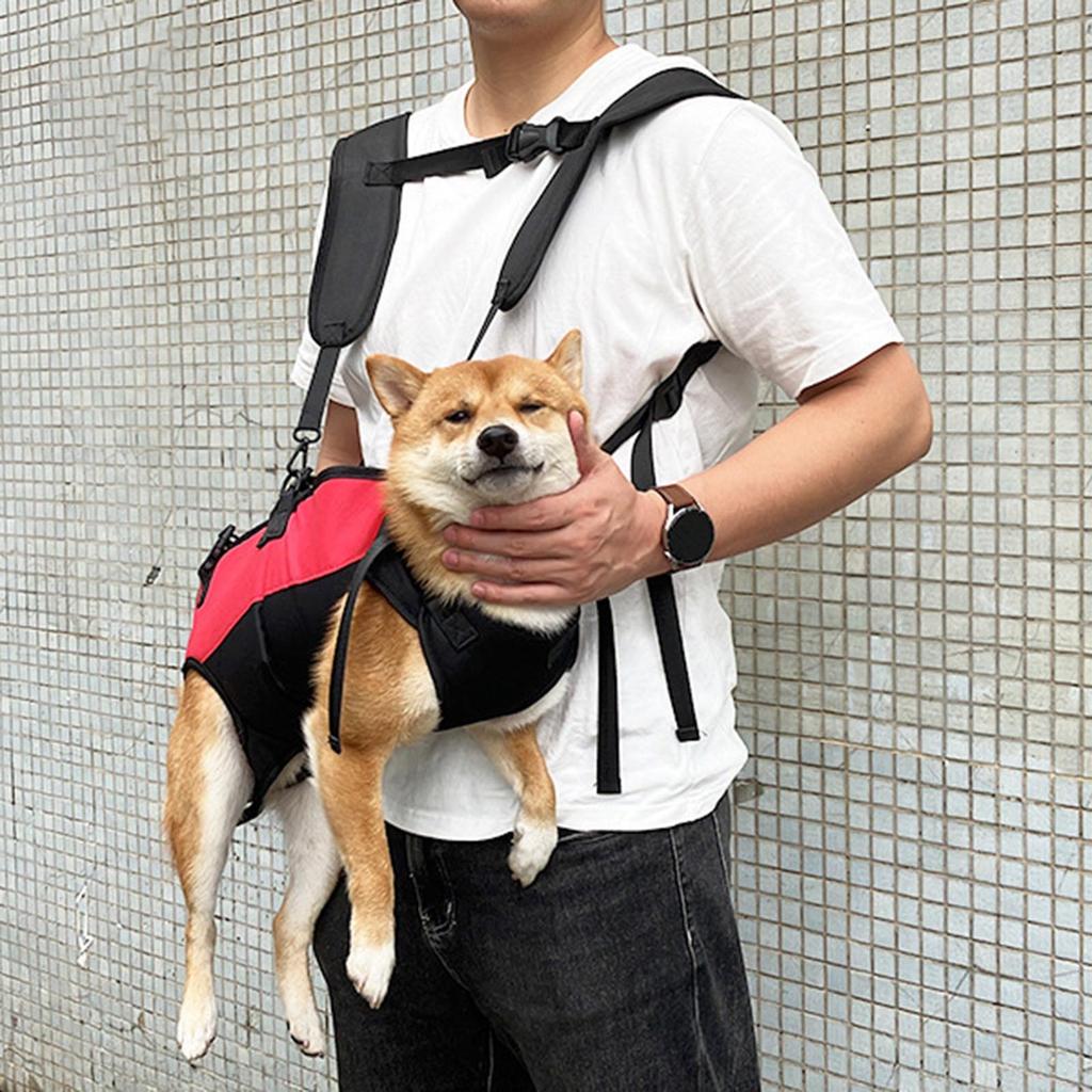 Pet Carrier Bag For Small Pet With Breathable Oxford Fabric Adjustable Shoulder Strap Horizontal Hugging Design Backpack