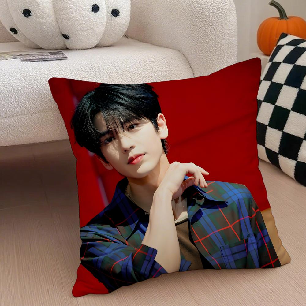 Handsome Versatile Chinese Actor ZZhangLingHe Cushion Cover Throw Pillow Cover Hidden Button Durable Polyester Chair Cushion