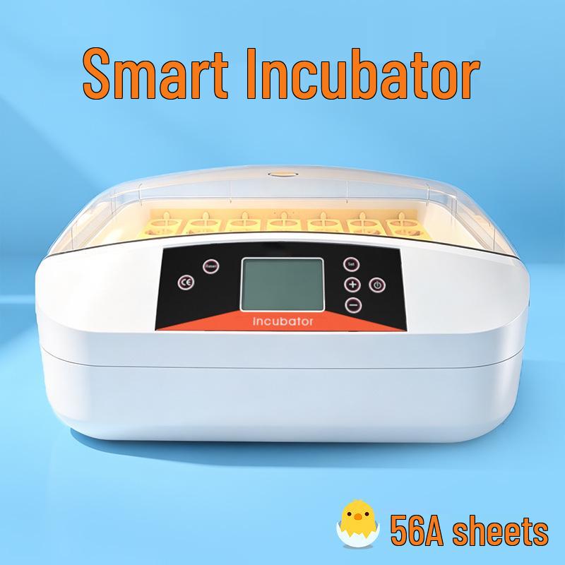 Smart Mini Egg Incubator for Parrots and Budgies: Automatic Pet Hatchery Equipment