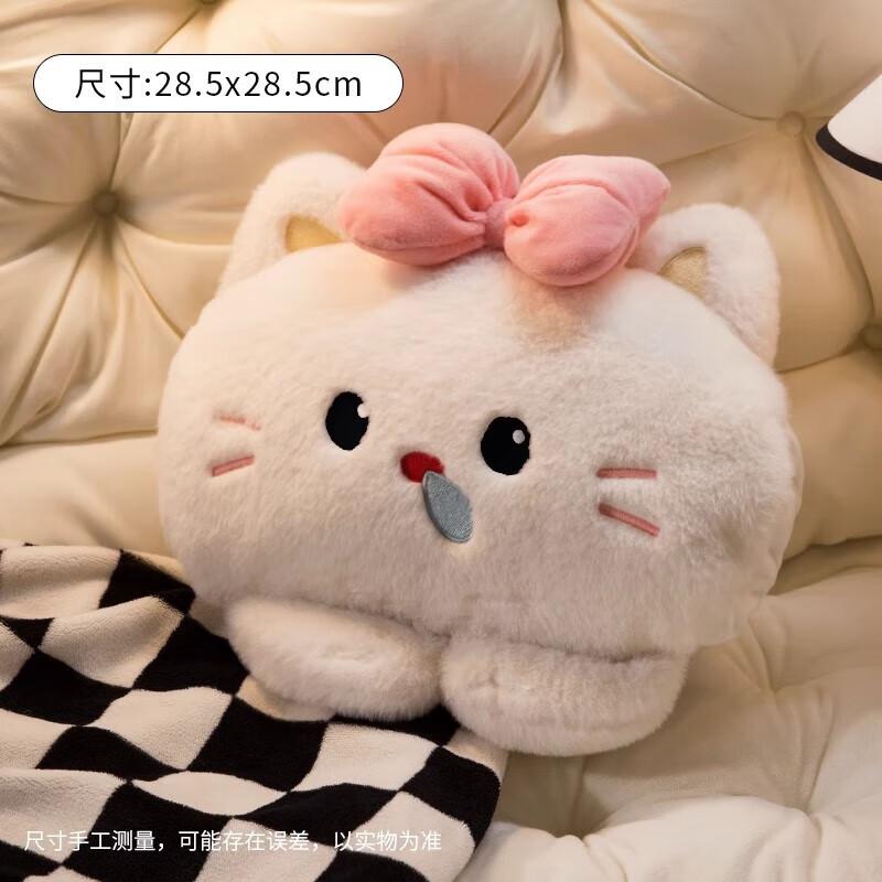 Plush Hand Warmer & Hot Water Bottle Cover