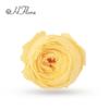 HFlora 3-4cm Preserved Austin Rose Wedding Bouquet Real Touch Dried Flowers Factory Price Long Lasting 3-5 Valentine's Day Day