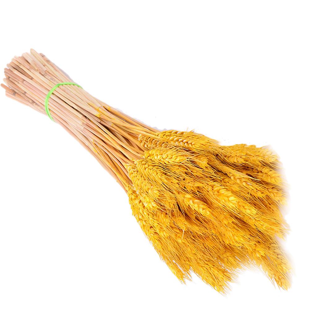 Home Decor Natural Dried Flowers Dried Wheat Bouquet Wheat Ear