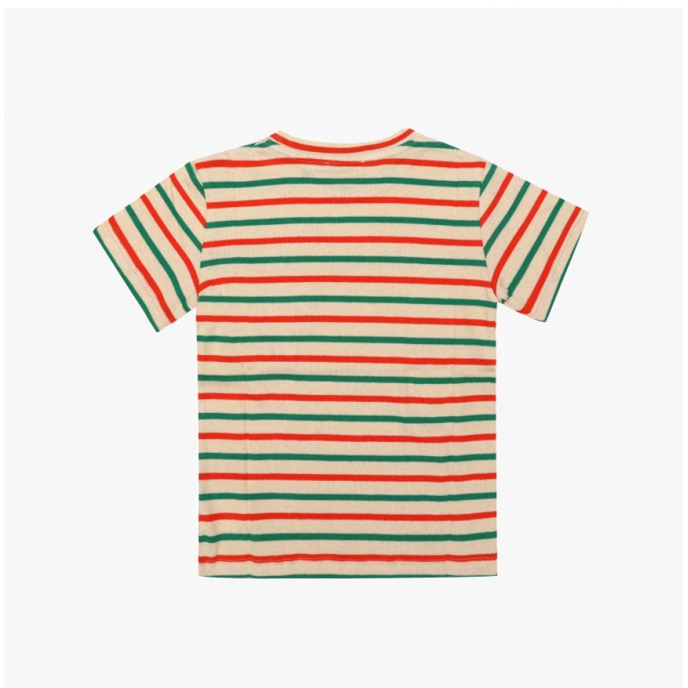 BonpoinT Boys Kids ShorT Sleeve T shirT sTripe c05bTsk00001