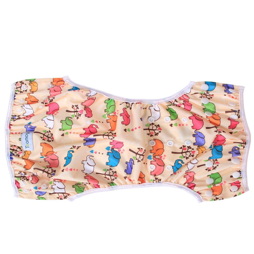 Teamoy Swim for Babies Years Waterproof Outer Polyester Mesh Inner Diaper Suitable for Swimming and Hot Spring Trips Flowers Pants, 2-Piece Set, 0-3